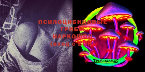 герыч Куйбышев