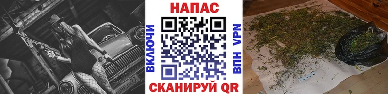 Купить где  Красавино  Шишки марихуана OG Kush 